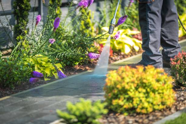 Best Sidewalk and Walkway Pressure Cleaning in Beaver Dam, AZ