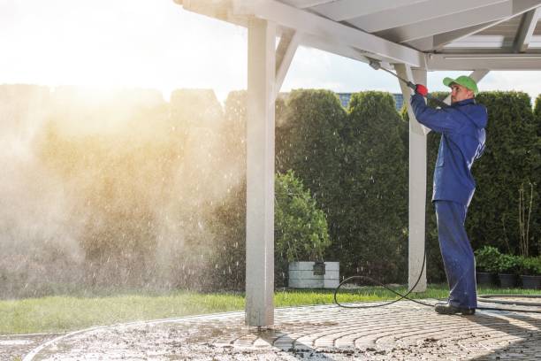 Best Fence Cleaning and Maintenance in Beaver Dam, AZ